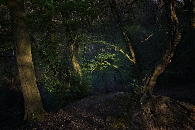Light beam in the dark.jpg