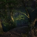 Light beam in the dark