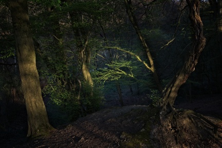 Light beam in the dark