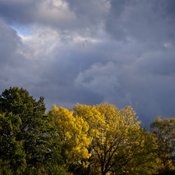 Skies and Clouds